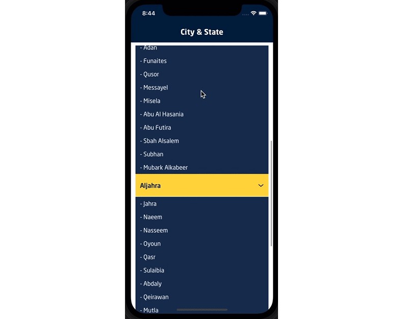 app-uses-api-to-display-information-about-city-and-state-user-using