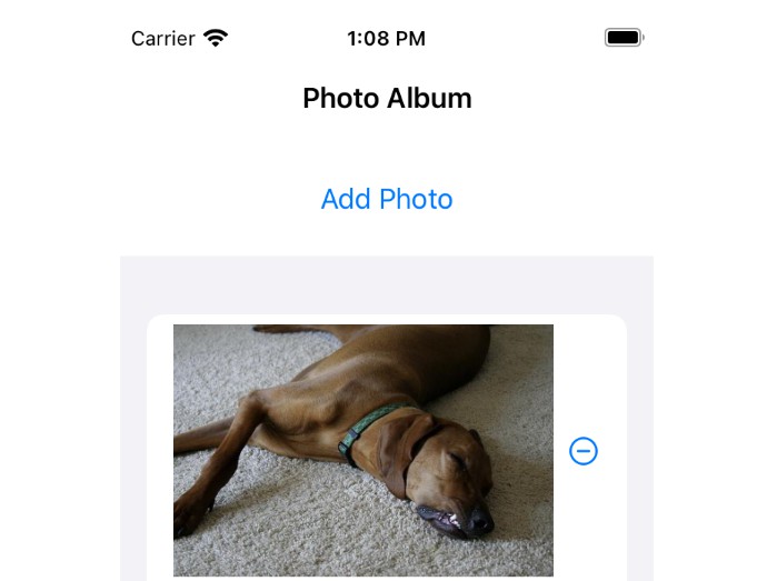 An iOS application that can capture images of dogs and determine their ...