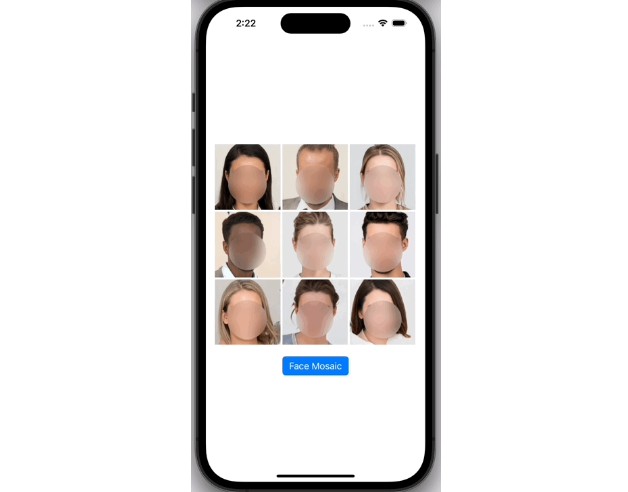 Face auto detection mosaic library